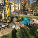 IMG 3156 (1)
