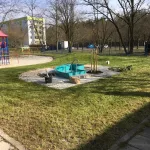 IMG 3195 (1)