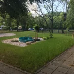 IMG 3589 (1)